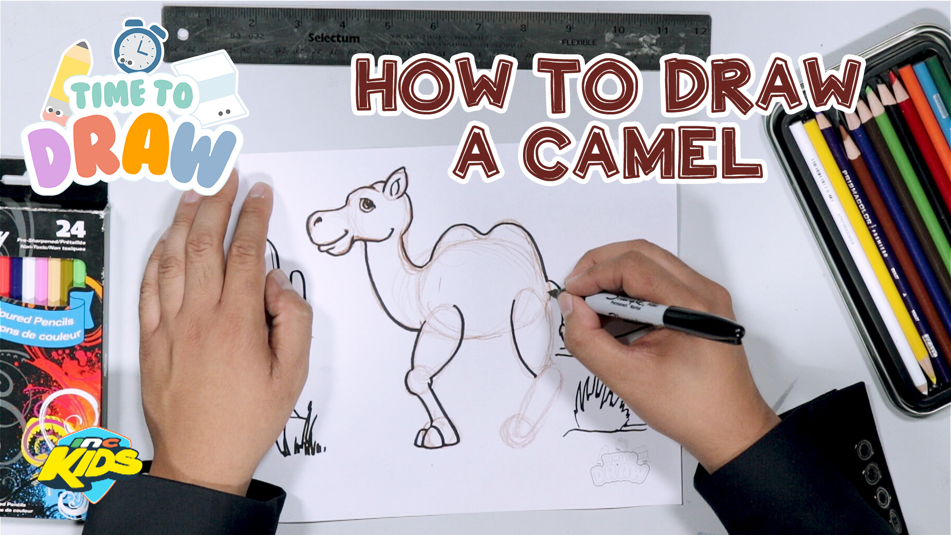 Amazing How To Draw A Camal in 2023 Learn more here 